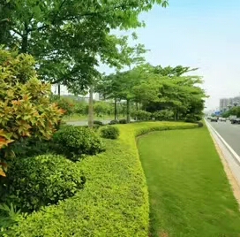2020年5月工程案例
